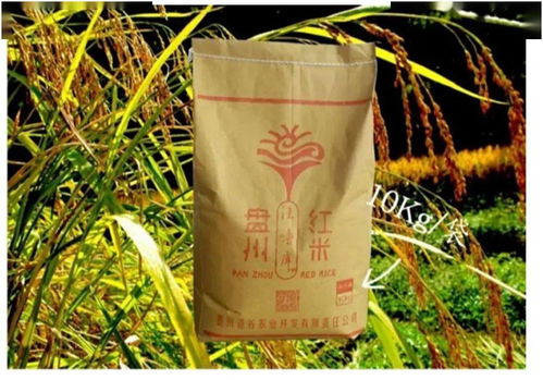 盤州農副產品，碼上買，便捷直達餐桌