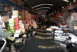 上海一淤泥處理場圍墻倒塌致農副產品市場被淹，應急處置工作展開