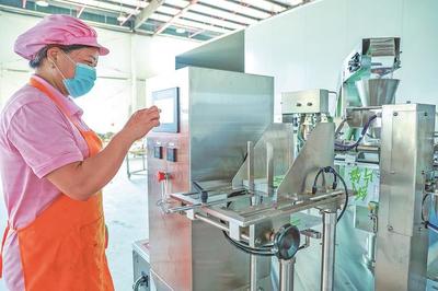 建寧 智能化助力農副產品與食品加工產業升級