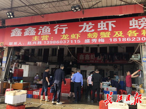 武漢撮蝦子 白沙洲農副產品大市場，日批龍蝦百噸的江城盛宴
